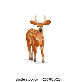 Vector Bongo Antelope Central African Animal Isolated On White