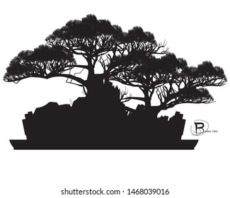 vector of Bonsai, Black silhouette of bonsai. Vector illustration. Original bonsai style vector illustrations. Decorative arts Small plant in pot Decorative plants, dwarf trees, ornamental plants.