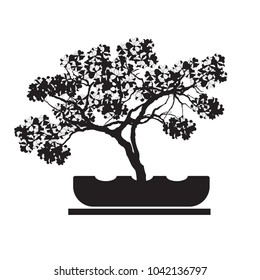 Vector of Bonsai tree.