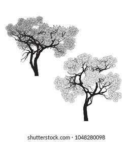 Vector of Bonsai tree.