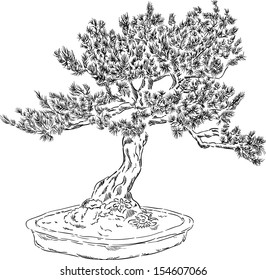 vector - bonsai tree in a flowerpot , isolated on background