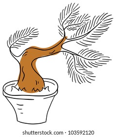 Vector bonsai tree is isolated on a white background