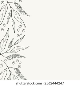 Vector border background with black allspice for text. Hand drawn card with sketch of pepper spice with branch, leaves and fruits of tropical tree Pimento officinalis. Food ingredient, health, aroma