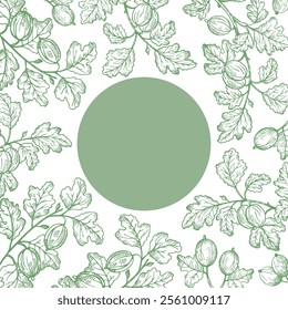 Vector border background with Gooseberry for text. Hand drawn engraved border with berries harvest, branches and fruits of sweet gooseberries for label, logo, paper, design, sign. Food illustration