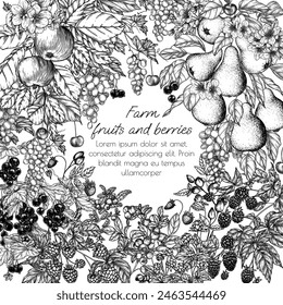 Vector border blooming garden with harvest. Cherries, grape, apples, rose hips, raspberries, blackberries, cloudberries, lingonberries, blueberries, pear, currant in engraving style