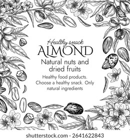 Vector border with a branch of blooming almonds in engraving style. Graphic banner with nuts on a tree. Template with the cultivation of a healthy snack. Nuts in shell and in cut form, almond flakes