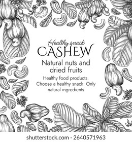 Vector border with a branch of blooming cashew in engraving style. Graphic banner with nuts on a tree. Template with the cultivation of a healthy snack. Nuts in shell and in cut. Cashew fruit