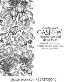 Vector border with a branch of blooming cashew in engraving style. Graphic banner with nuts on a tree. Template with the cultivation of a healthy snack. Nuts in shell and in cut. Cashew fruit