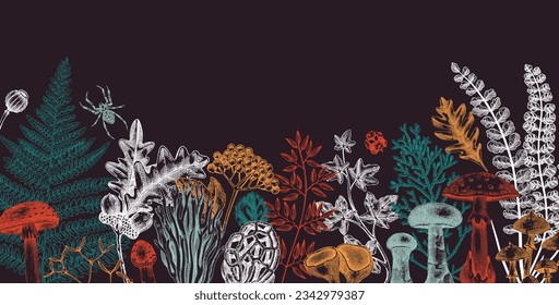 Vector border with ferns, mushrooms, fall leaves, berries and autumn plant sketches. Vintage botanical design template in engraved style. Hand drawn autumn forest background for print. Natural banner 