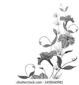 Vector border with flowers petunia. Gray background. Black and white. Monochrome. For greeting card, wedding invitation, banner.