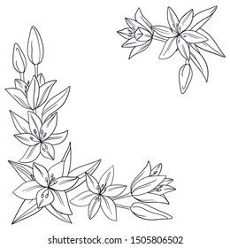vector border frame  lily flowers leaves elements set coloring book on white
