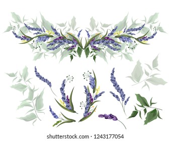 Vector border of green leaves, branches, lavender. All elements of the border on a white background. All elements are isolated.