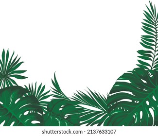 Vector border with green tropical leaves. Summer jungle decor for card, poster, invitation.