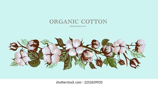 Vector border with hand drawn cotton twigs. A graphic resource for textiles, fabrics, apparel, paper and 100% natural products.