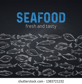 Vector border hand drawn fish. Design chalk seafood with bream, mackerel, tunny or sterlet, codfish and halibut. Blackboard with fish tilapia, ocean perch, sardine, anchovy, sea bass and dorado.