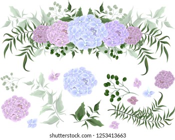 Vector border of hydrangea flowers and leaves. All elements of the border are disassembled and isolated on a white background. The flora elements of design.