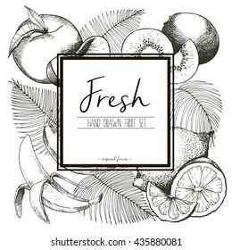 Vector border illustration of fresh tropical fruits with palm leaves. Hand drawn vintage  set of vegetarian tasty organic food with white  square text template.