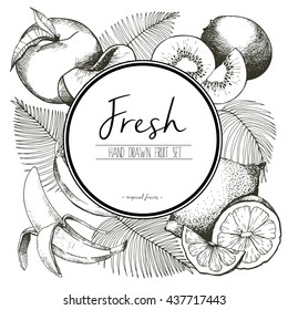 Vector border illustration of fresh tropical fruits with palm leaves. Hand drawn vintage  set of vegetarian tasty organic food with white  round text template. 
