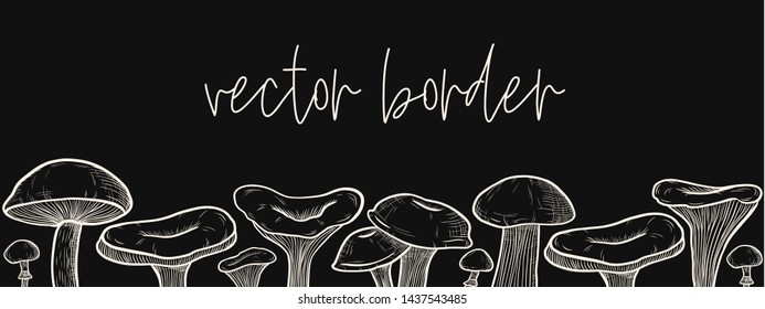 vector border of mushrooms: honey mushrooms, chanterelles, porcini, boletus, champignon. the style of engraving and the chalk boards