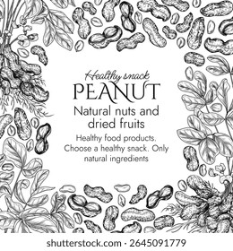 Vector border with peanut bush  in engraving style. Graphic banner with groundnut. Frame with growing healthy snack. Nuts in shell and cut. Peanut butter