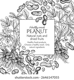 Vector border with peanut bush in engraving style. Graphic banner with groundnut. Frame with growing healthy snack. Nuts in shell and cut. Peanut butter