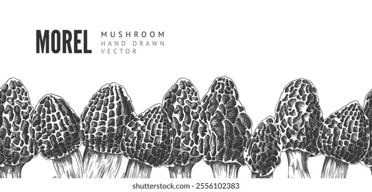 Vector border in the style of a detailed sketch of whole morel mushrooms. Fresh, organic elements of seasonal natural delicacies in culinary projects.