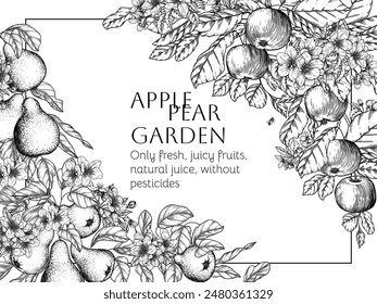 Vector border of a tree branch with blossoms and fruits. Apple and pear trees in engraving style	
