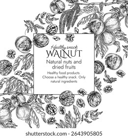 Vector border with walnut branch in engraving style. Graphic banner with forest nuts on tree. Frame with growing healthy snack. Nuts in shell and cut