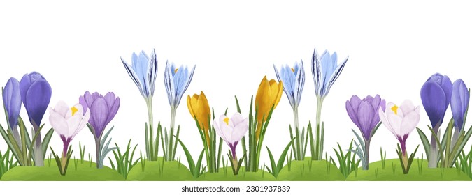 Vector border watercolor spring, summer colorful flowers crocuses.Illustration for design,decor,different ideas,postcards,holidays.