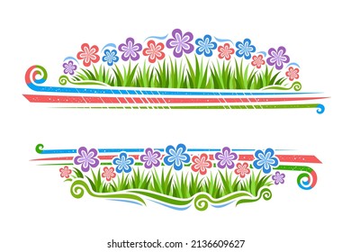 Vector Border for Wild Flowers with copyspace for text, horizontal voucher with illustration of simple chrysanthemums, cartoon gerber flowers on grass in row, decorative flourishes on white background