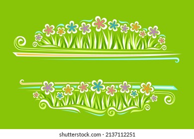 Vector Border for Wild Flowers with copyspace for text, horizontal poster with illustration of simple chrysanthemums, cartoon gerber flowers on grass in row, decorative flourishes on green background