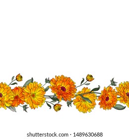 Vector border with yellow flowers calendula on white background. Seamless brush pattern. Design for greeting card, invitation, banner, save the date.