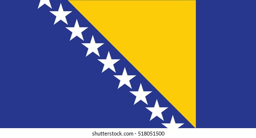 Vector Bosnia and Herzegovina flag, Bosnia and Herzegovina flag illustration,