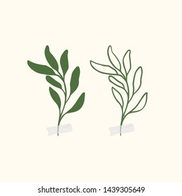 Vector botanic illustrations. Botanical clipart. Set of Green branches. Floral Herb Design elements. Perfect for wedding invitations, greeting cards, blogs, posters and more