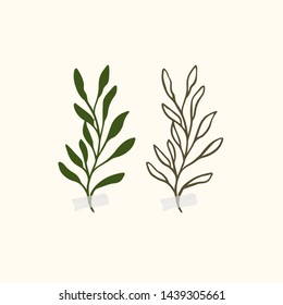 Vector botanic illustrations. Botanical clipart. Set of Green branches. Floral Herb Design elements. Perfect for wedding invitations, greeting cards, blogs, posters and more