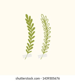Vector botanic illustrations. Botanical clipart. Set of Green branches. Floral Herb Design elements. Perfect for wedding invitations, greeting cards, blogs, posters and more