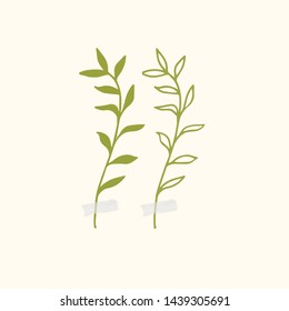 Vector botanic illustrations. Botanical clipart. Set of Green branches. Floral Herb Design elements. Perfect for wedding invitations, greeting cards, blogs, posters and more