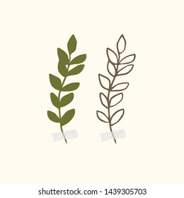 Vector botanic illustrations. Botanical clipart. Set of Green branches. Floral Herb Design elements. Perfect for wedding invitations, greeting cards, blogs, posters and more