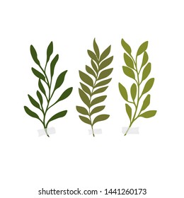 Vector botanic illustrations. Botanical clipart. Set of Green branches. Floral Herb Design elements. Perfect for wedding invitations, greeting cards, blogs, posters and more