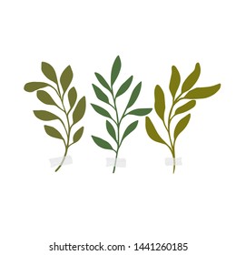Vector botanic illustrations. Botanical clipart. Set of Green branches. Floral Herb Design elements. Perfect for wedding invitations, greeting cards, blogs, posters and more
