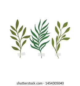 Vector botanic illustrations. Botanical clipart. Set of Green branches. Floral Herb Design elements. Perfect for wedding invitations, greeting cards, blogs, posters and more
