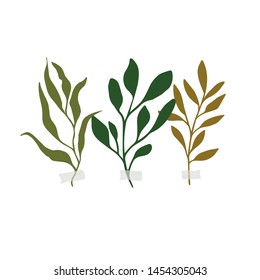 Vector botanic illustrations. Botanical clipart. Set of Green branches. Floral Herb Design elements. Perfect for wedding invitations, greeting cards, blogs, posters and more