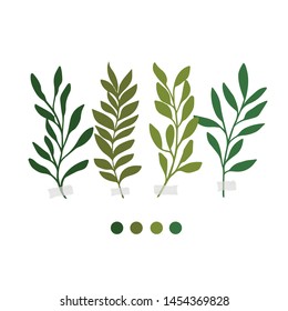 Vector botanic illustrations. Botanical clipart. Set of Green branches. Floral Herb Design elements. Perfect for wedding invitations, greeting cards, blogs, posters and more