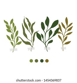 Vector botanic illustrations. Botanical clipart. Set of Green branches. Floral Herb Design elements. Perfect for wedding invitations, greeting cards, blogs, posters and more