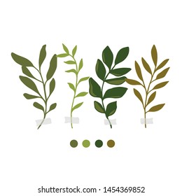Vector botanic illustrations. Botanical clipart. Set of Green branches. Floral Herb Design elements. Perfect for wedding invitations, greeting cards, blogs, posters and more