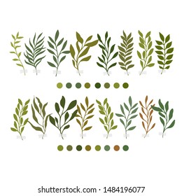 Vector botanic illustrations. Botanical clipart. Set of Green branches. Floral Herb Design elements. Perfect for wedding invitations, greeting cards, blogs, posters and more