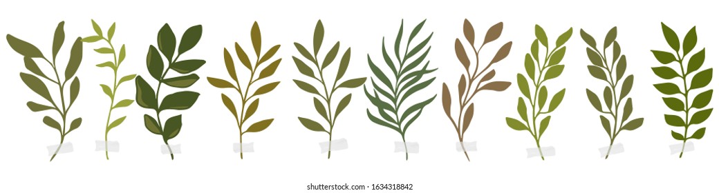 Vector botanic illustrations. Botanical clipart. Set of Green branches. Floral Herb Design elements. Perfect for wedding invitations, greeting cards, blogs, posters and more. Green watercolor branches