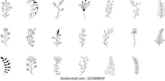 Vector botanic illustrations. Botanical clipart. Set of line art branches. Floral Herb Design elements. Perfect for wedding invitations, greeting cards, blogs, posters and more. Vector illustration