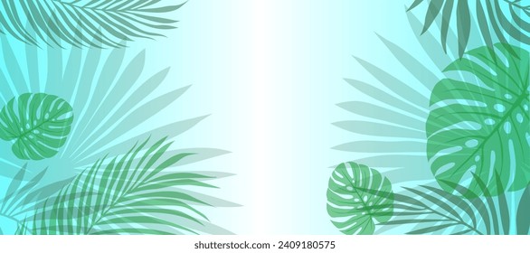 Vector botanical background. Summer green tropical leaves of palm and monstera on a white background. Abstract background for banner, wall decor.