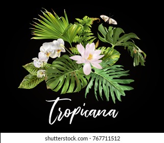 Vector botanical banner with tropical leaves orchid flowers, lotus and butterfly on black background. Design for cosmetics, spa, health care products, travel company. Can be used as summer background